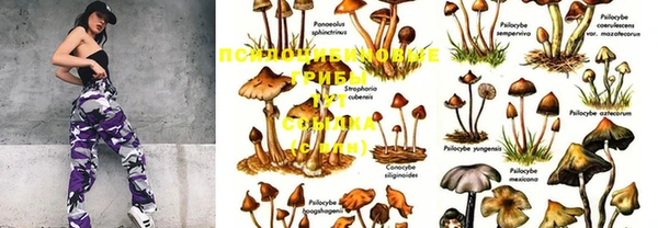 марки nbome Арсеньев