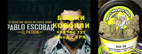 круглые Аркадак