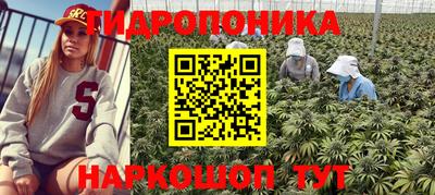 стафф Балаково