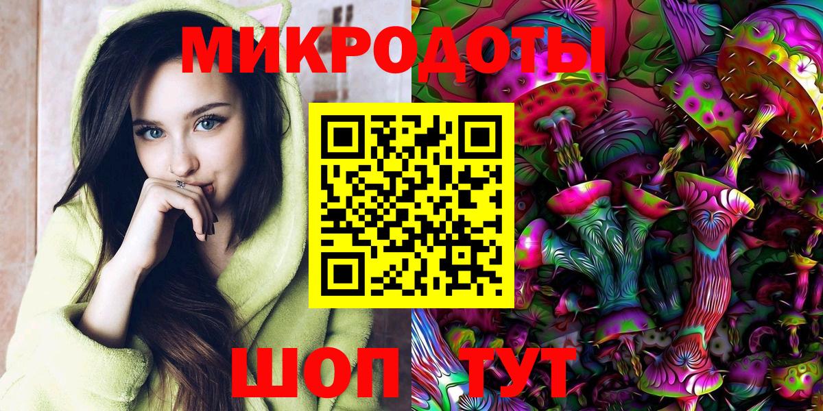 Галлюциногенные грибы Psilocybe Бийск