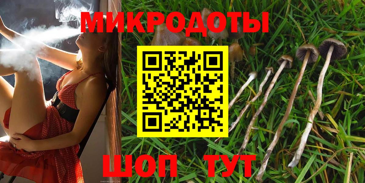 Псилоцибиновые грибы прущие грибы  Бийск  Галлюциногенные грибы Cubensis 